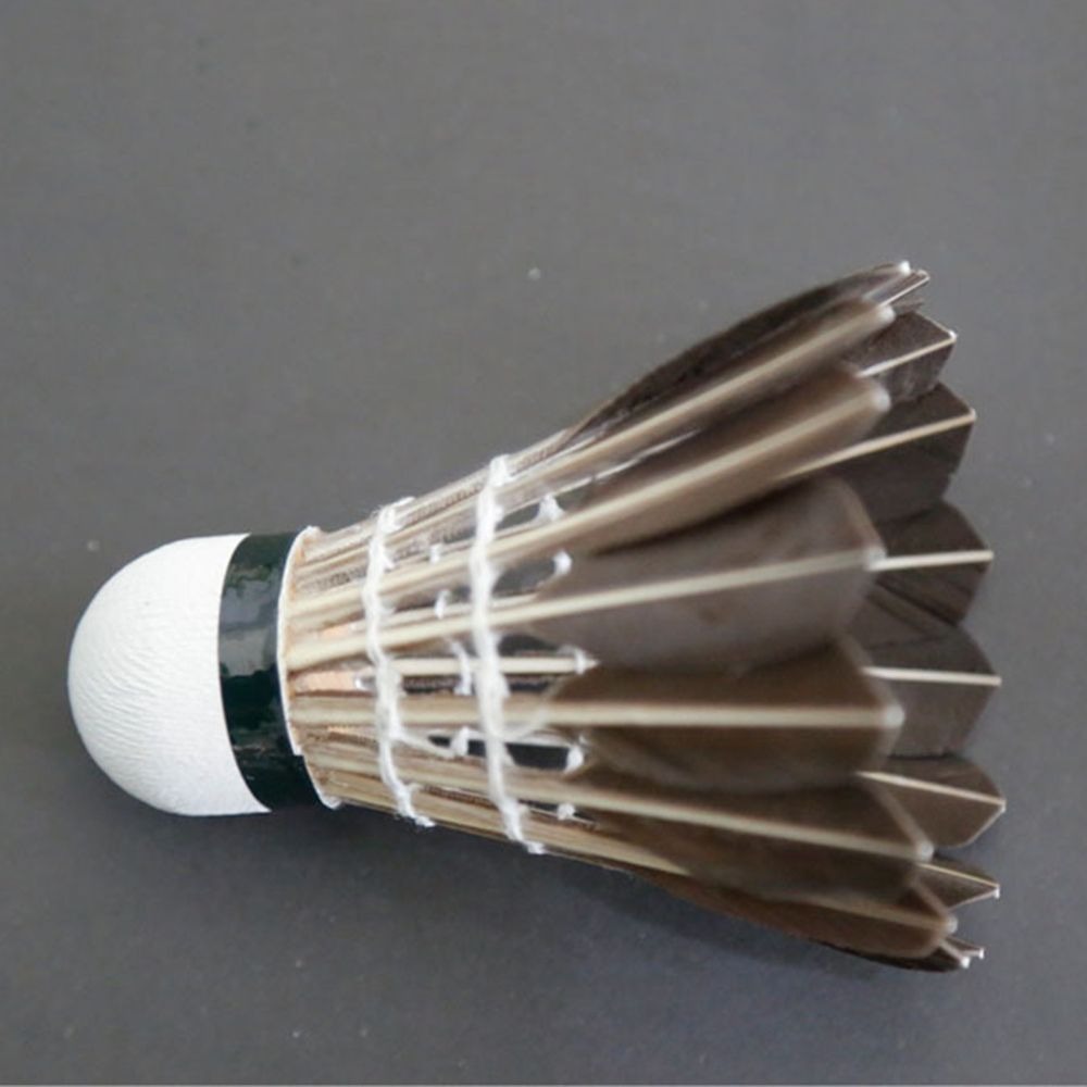 3/6/12Pcs Accessories Stable S - Badminton Event ulasan dan harga